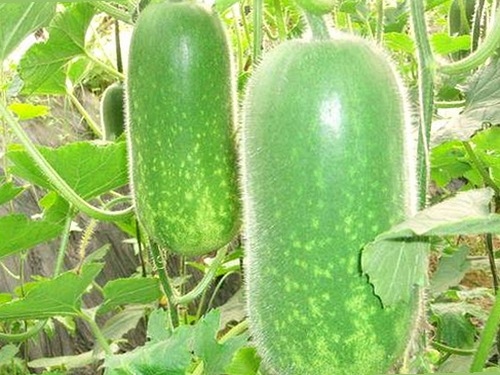 姐姐礼物惊喜与海角大神视频反差：一场温情与争议的交织🎁⚡